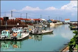 Nous visitons le port ostréicole de la commune picto-charentaise de Saint-Trojan-les-Bains. Nous sommes dans le département n° ...