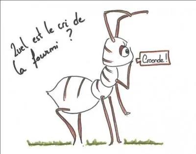 Posséder des insectes communautaires dans ce qui nous sert à avancer !