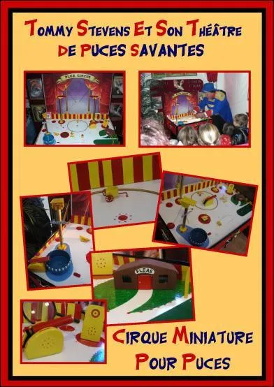 Etre dans tous ses états, un peu comme un insecte bondissant !