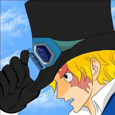 Quel est le fruit de Sabo ?