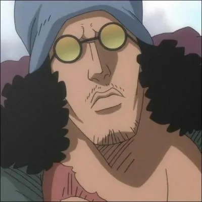 Quel est le fruit de Aokiji ?