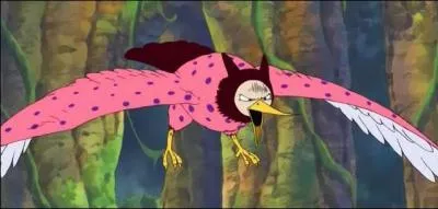 Quel est le fruit de Pierre ?