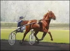 Qui est le cheval qui a gagné 30 courses consécutives ?