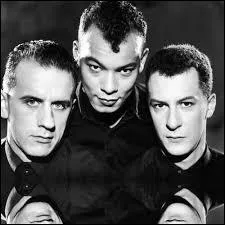 En 1988, ce groupe se fait remarquer grâce au tube "She Drives Me Crazy".
