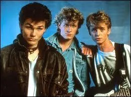 Culte également, ce groupe compte à son actif des titres indémodables comme "Take on me" ou "Stay on These Road". Ce groupe c'est :