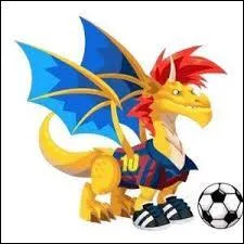 Voici le dragon football, il est de type :