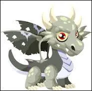 Voici le dragon zombie, il est de type :