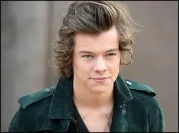 Qui chante "What Makes You Beautiful" (avec son groupe) ?