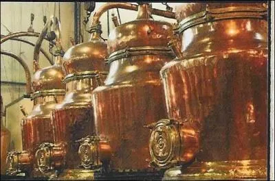 28 plantes locales macérées, chauffées et distillées pour soulager les maux ! Où fabrique-t-on encore cet élixir qu'est la Bénédictine, inventé en 1510 par le frère Vincello ?