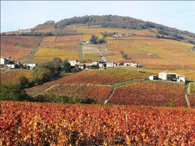 Entrez dans la cave voûtée de La Chaize, en Beaujolais, et enivrez-vous des arômes d'un vin d'exception d'appellation :