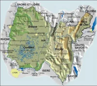L'agréable fumet de la "lionche" vous attire vers la cuisine d'une ménagère du département de l'Ain. Quel est le légume de la famille des Amaryllidacées entrant dans la composition de cette tarte qui se consomme avec une salade ?