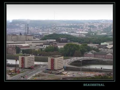 Leur cinéma s'enracine souvent dans la région de leur enfance ; la région de :