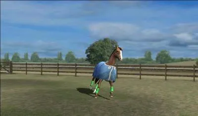 Quel est le nom de la piste recouverte ?