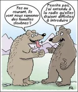 Ne fais pas profit de la dépouille de l'ursidé avant de l'avoir occis !