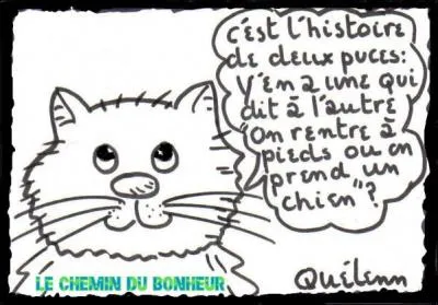 Qui s'endort avec la meute, se retrouve à son réveil avec des insectes bondissants !