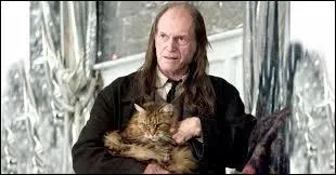 Comment s'appelle son doubleur pour la voix française ?