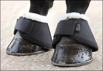 Qu'est-ce qui sert à protéger la couronne ?