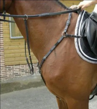 Qu'est-ce qui ressemble à une martingale mais qui s'attache à la selle ?