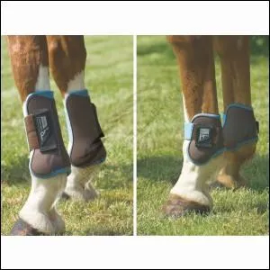 Qu'est-ce qui protège les membres du cheval lors d'un saut ?