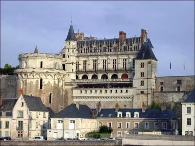 Quel roi connu une mort accidentelle au château d'Amboise ?