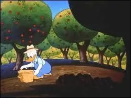 Que ramasse Donald ?