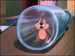 Les questions 8 et 9 auront le même thème. Qui est coincé dans la bouteille ?