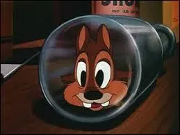 Comment repérer Tac et Tic ?