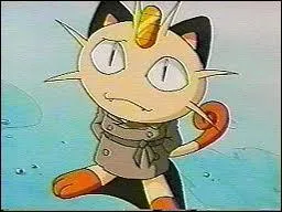 Quel est le nom de ce Pokémon ?