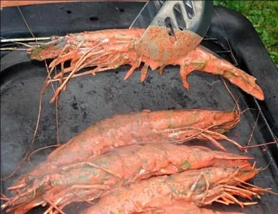 Crustacés. Accompagnez-les d'une sauce tandoori.