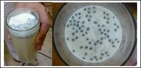 Encore une boisson rafraîchissante sous d'autres latitudes. Quel nom donne-t-on à cette boisson mauricienne faite à partir de graines de "toukmaria" ou basilic indien ?