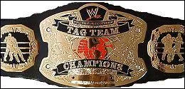 Qui est le world tag team champion en amrique a cette date (27/02/09) ?