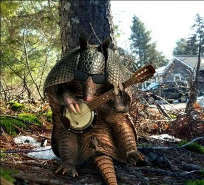 Trouvez le nom de l'animal !