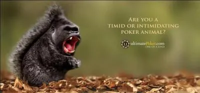 Quel nom donneriez-vous à cet étrange animal !