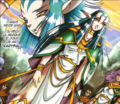 Avant de devenir elfe élémentaire, quel métier voulait-elle faire ?