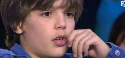 En 2014, il joue le rôle de Rémi dans le film "Babysitting". Qui est-ce ?