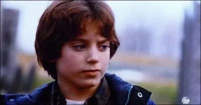 En 1993, il interprète le rôle de Mark Evans dans le film "Le Bon Fils". Qui est-ce ?