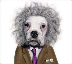 Le tabac lui fait perdre la tête ! Albert Einstein disait :