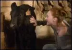 Comment s'appelle le petit veau noir pour lequel elle éprouve beaucoup d'affection ?