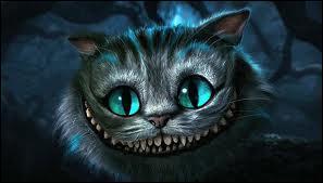 Comment s'appelle ce chat au grand sourire ?