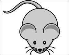 La souris arrive à faire peur à quelqu'un. Mais à qui ?