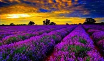 En escrime, botte de quarte, portée au flanc !