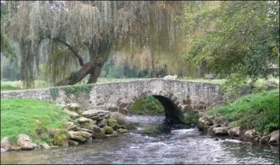Dans quelle r&eacute;gion coule le Ciron ?