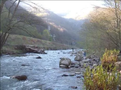 Quelle rivi&egrave;re arrose Murat dans le Cantal ?