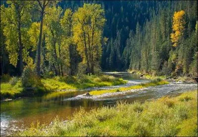 Dans quel d&eacute;partement coule l'Al&egrave;ne ?