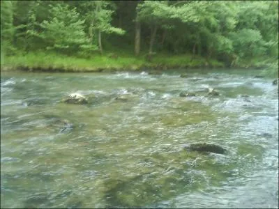 Dans quelle r&eacute;gion coule l'Arize ?