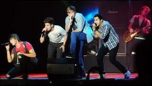 Lequel des 4 les considère comme des frères ?