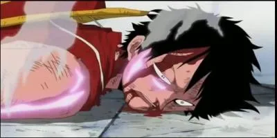 Parmi les 4 propositions, quels sont les personnages qui ont vaincu Luffy ?