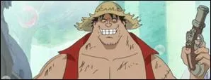 Qui est celui qui se fait passer pour Luffy ?
