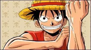 Parmi les 4 propositions, quels sont les personnages vaincus par Luffy ?