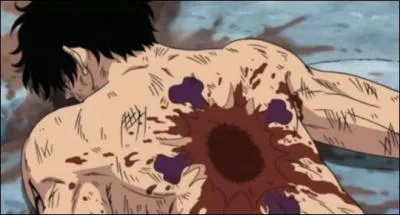 Quel est l'âge de Portgas D. Ace au moment de sa mort ?